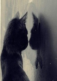 ̲滵֮·