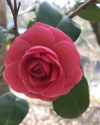 �����ʱ[GL]