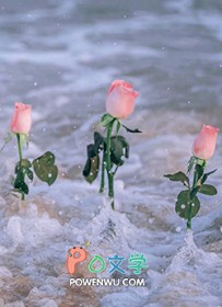 �ҵĺ�«��������