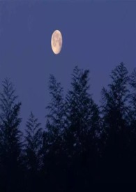 ������ÿ�춼Ҫ���[����]