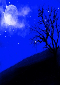 ����Ů�䲻��Ҫ����