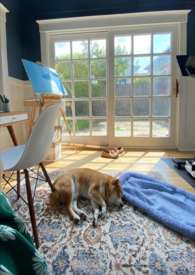 �ҼҺ�Ժͨ��Ұ ���+����