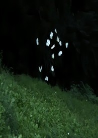 �촩Ů���Ǹ�˯����