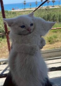 �������㣺����������