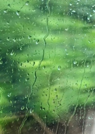 Ļ
