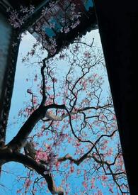 ����֮��������