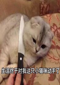 ڻƪϼ