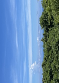 棩