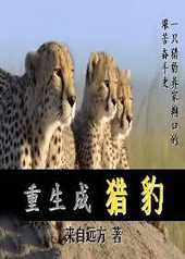 ʱ