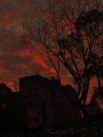 ����Ȧ����ɶ�˶���