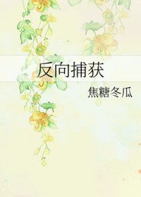 ޸ķɸ[]
