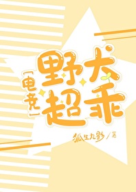 ½٣
