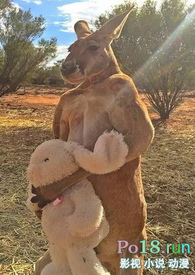 ˮ