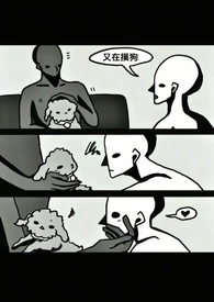 �ʺ����������