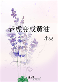 賿ӿʼĹ