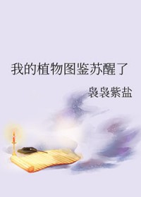 ʧ