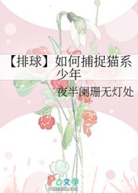 �����ǻ�����